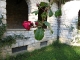2011-rose-rouge